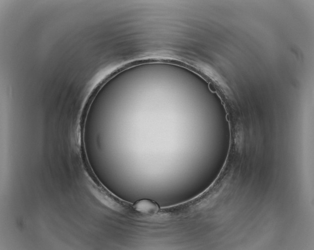 X0000110731372200906191517