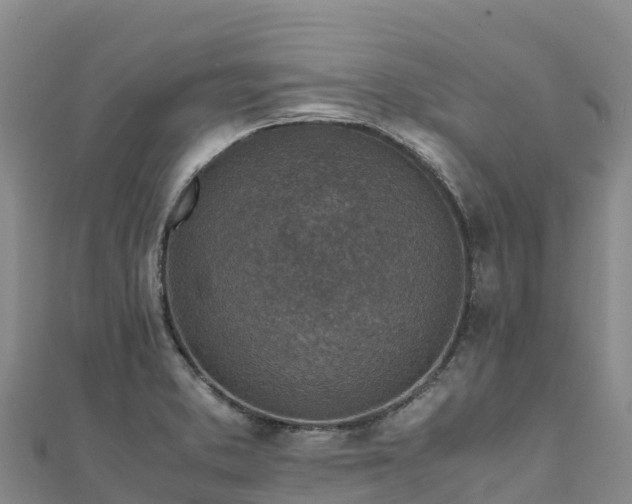X0000110731373200906191517