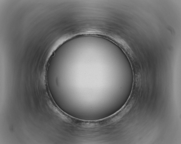 X0000110731374200906191517