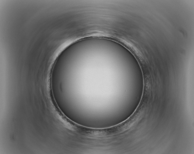 X0000110731375200906191517