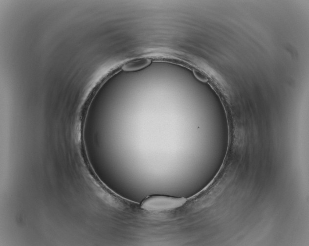 X0000110731376200906191517