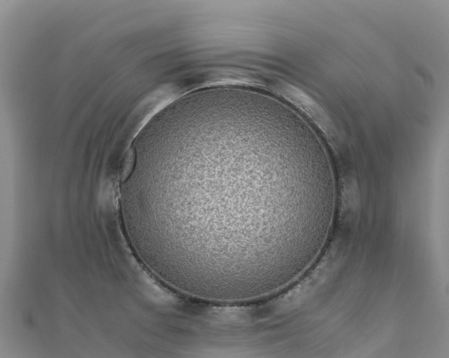 X0000110731377200906191517