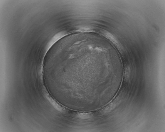 X0000110731378200906191517