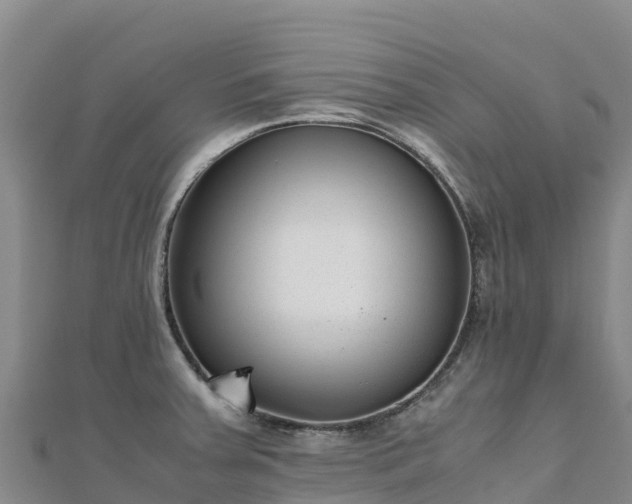 X0000110731379200906191517