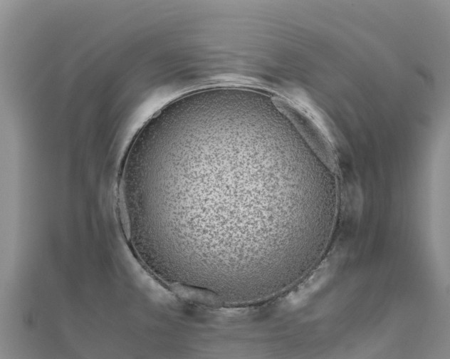 X0000110731381200906191517