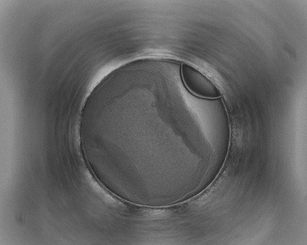 X0000110731382200906191517