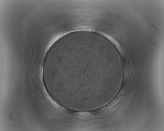 X0000110731383200906191517