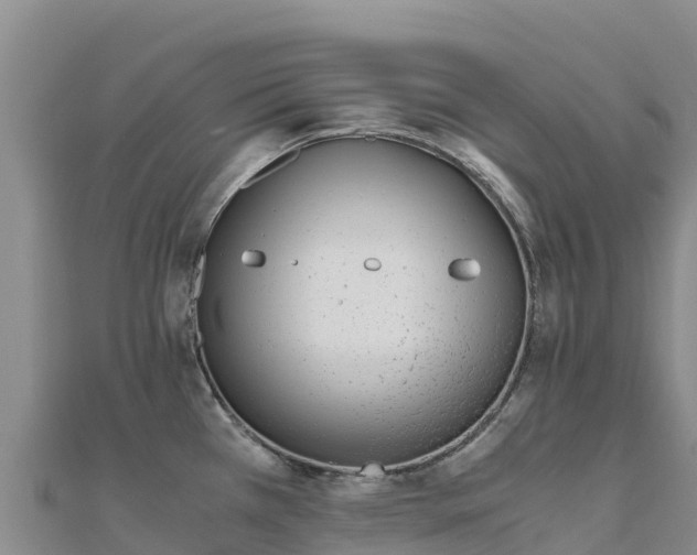X0000110731385200906191517