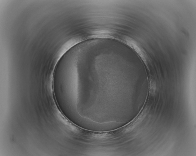 X0000110731386200906191517