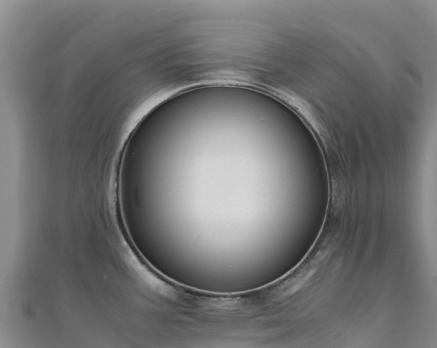 X0000110731387200906191517
