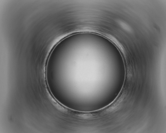 X0000110731388200906191517