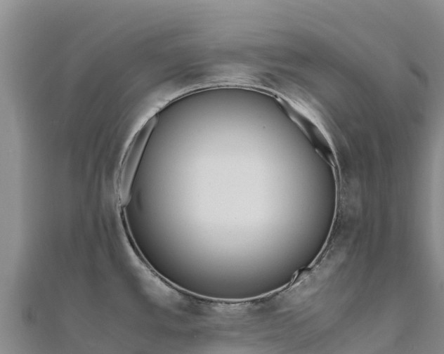 X0000110731389200906191517