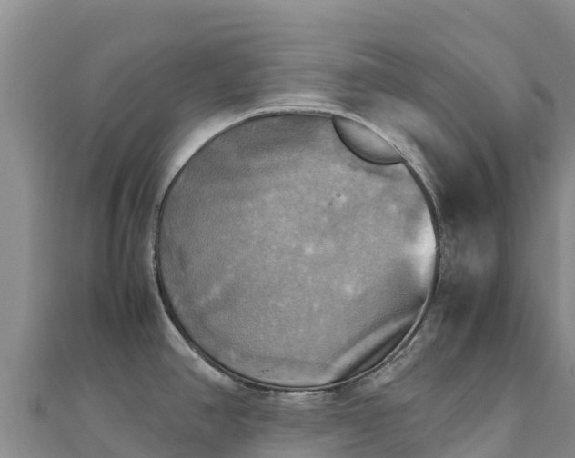 X0000110731390200906191517