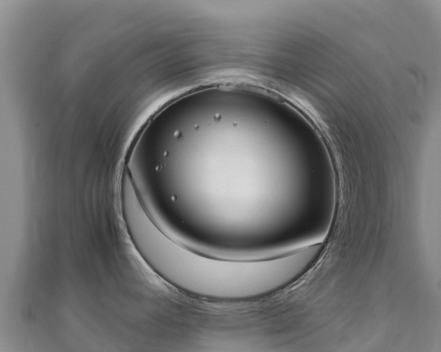 X0000110731392200906191517