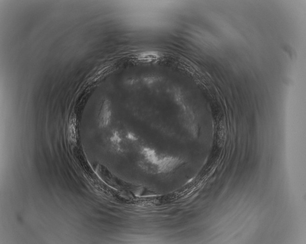 X0000110731394200906191516