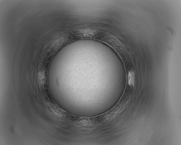 X0000110731395200906191516