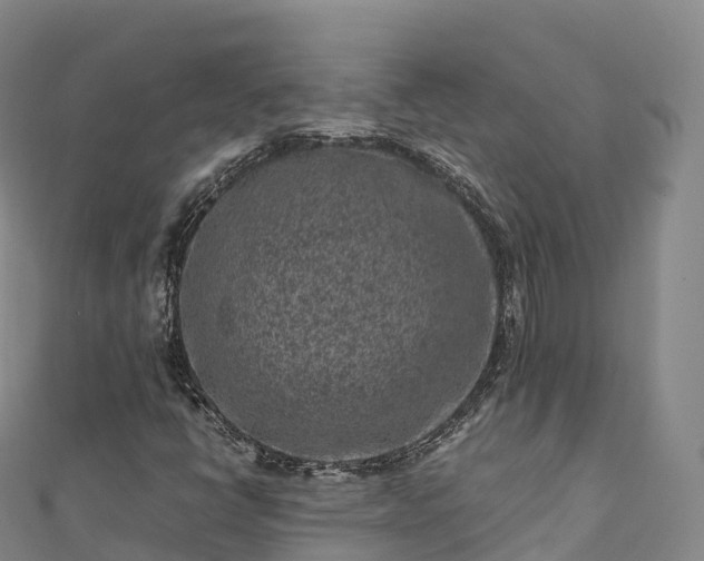 X0000110731398200906191517