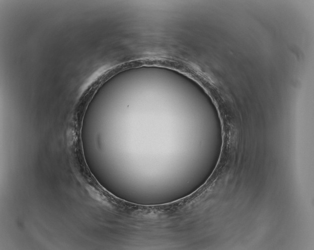 X0000110731400200906191517