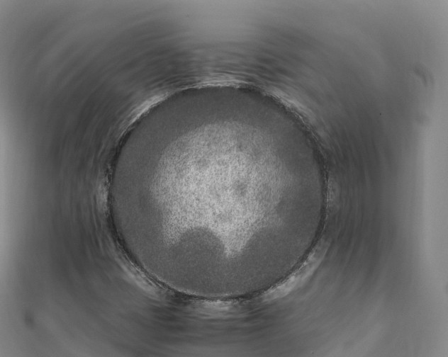X0000110731401200906191517