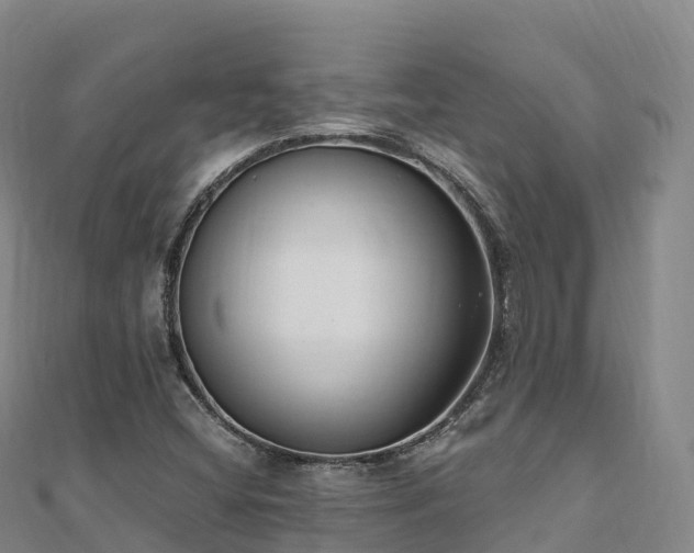 X0000110731404200906191517
