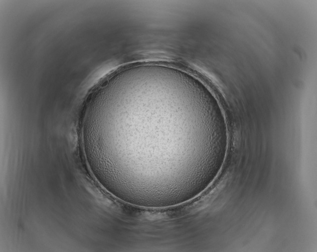 X0000110731407200906191517