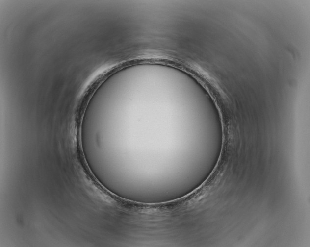 X0000110731408200906191517