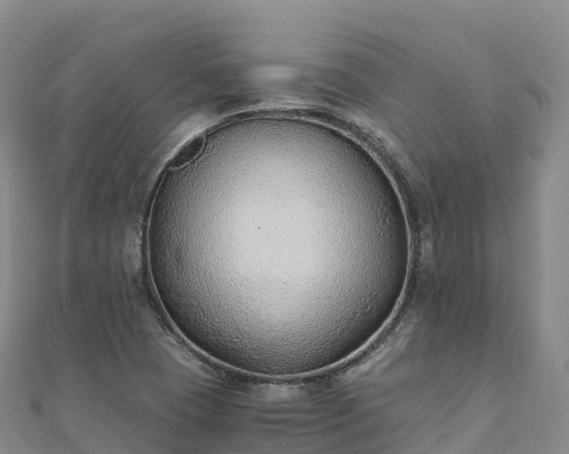 X0000110731409200906191517