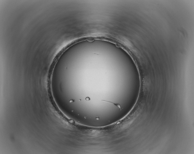 X0000110731412200906191517