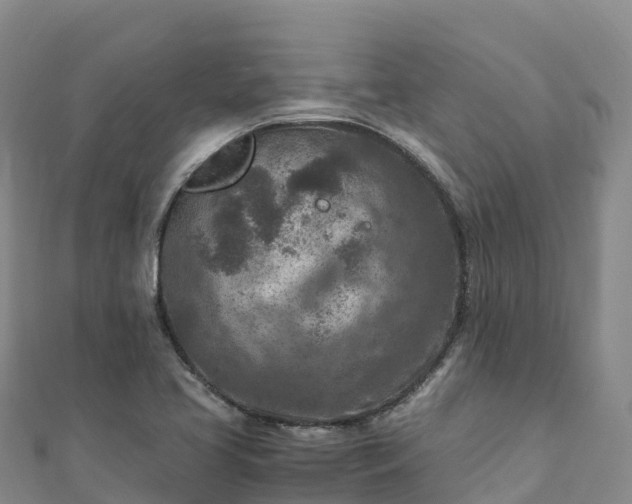 X0000110731413200906191517