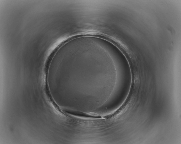 X0000110731414200906191517