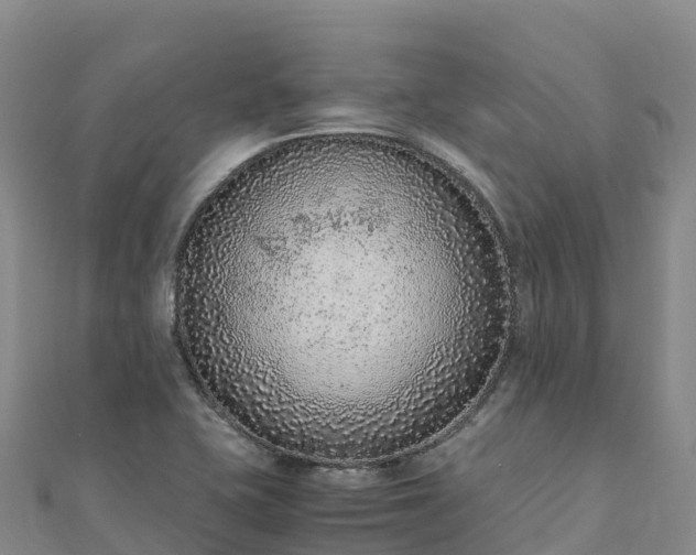 X0000110731415200906191517