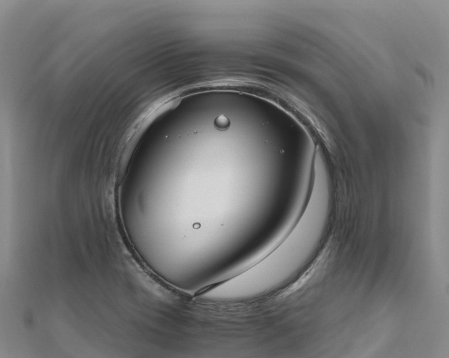 X0000110731417200906191517