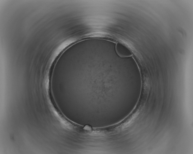 X0000110731418200906191517