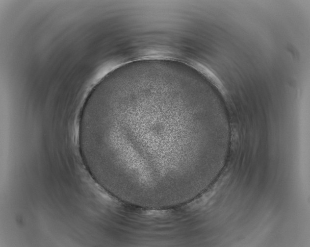 X0000110731419200906191517