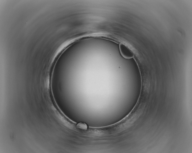 X0000110731420200906191517