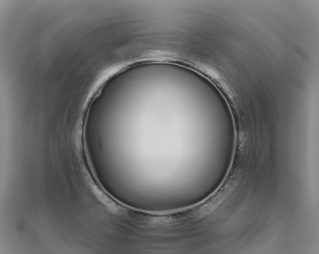 X0000110731421200906191517
