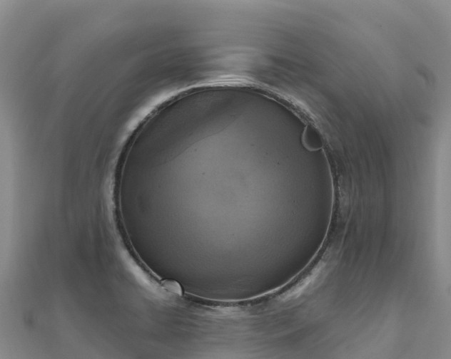 X0000110731422200906191517