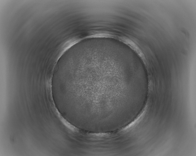 X0000110731425200906191517