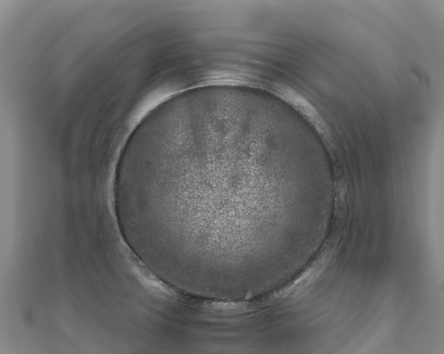 X0000110731427200906191517