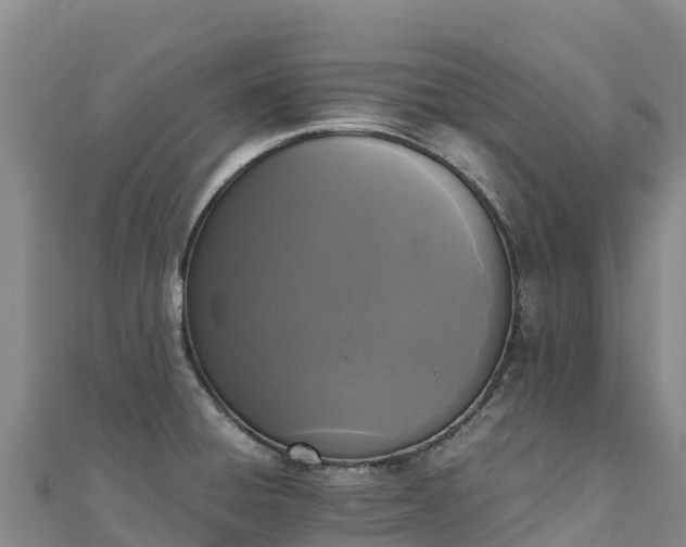 X0000110731428200906191517