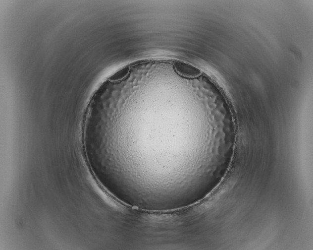 X0000110731429200906191517