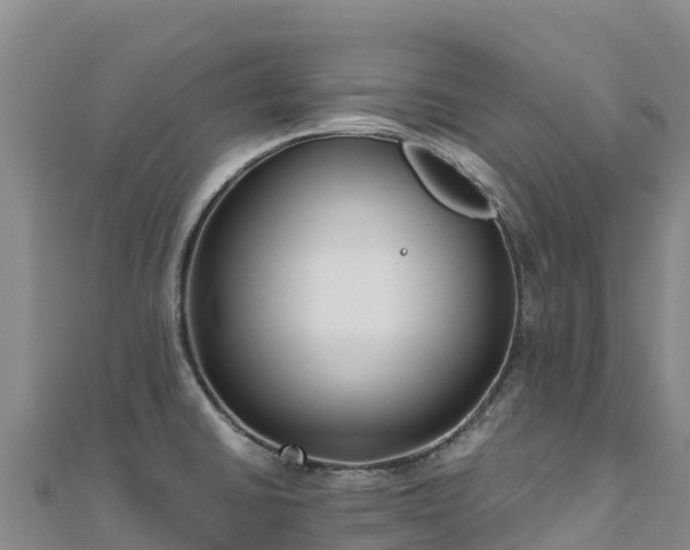 X0000110731430200906191517