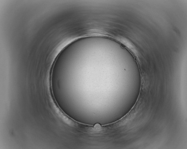 X0000110731431200906191517