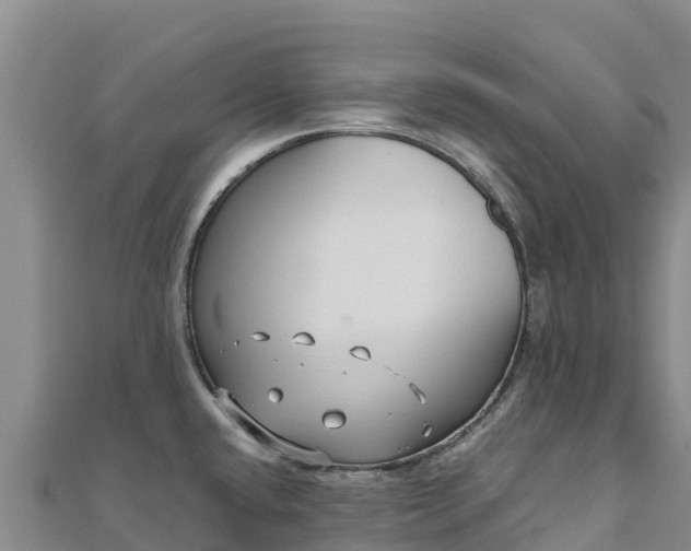 X0000110731432200906191517