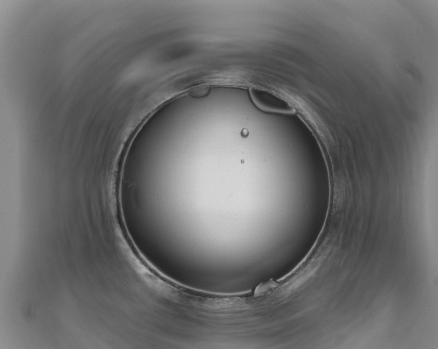 X0000110731434200906191517