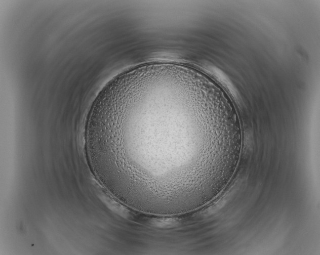 X0000110731435200906191517
