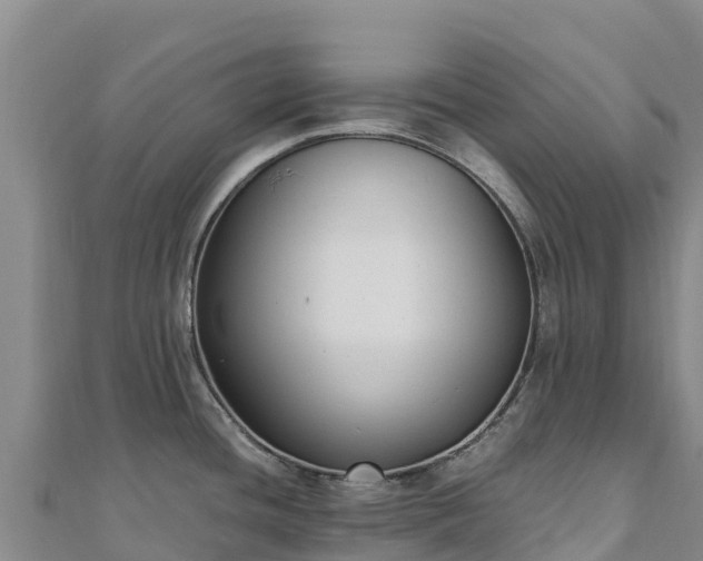 X0000110731436200906191517