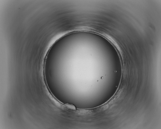 X0000110731437200906191517