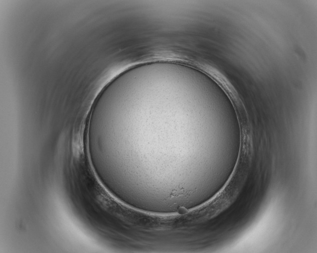 X0000110731439200906191517