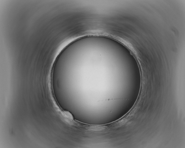 X0000110731440200906191517